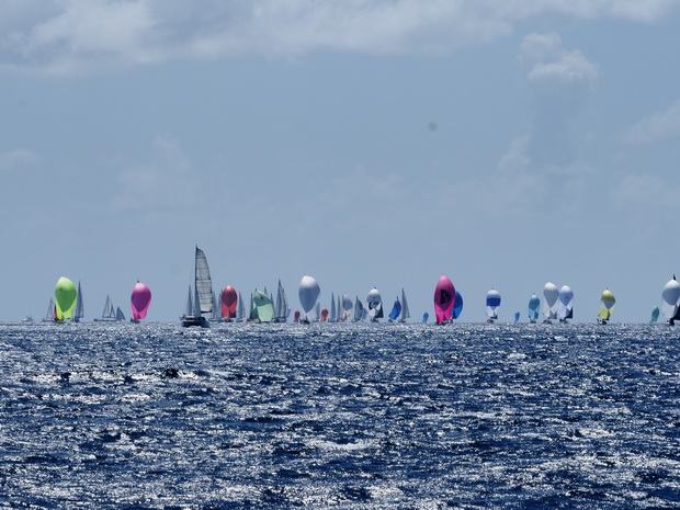 Mitsegeln auf der SY Montana, Swan 48 auf der Heinecken Regatta 2020